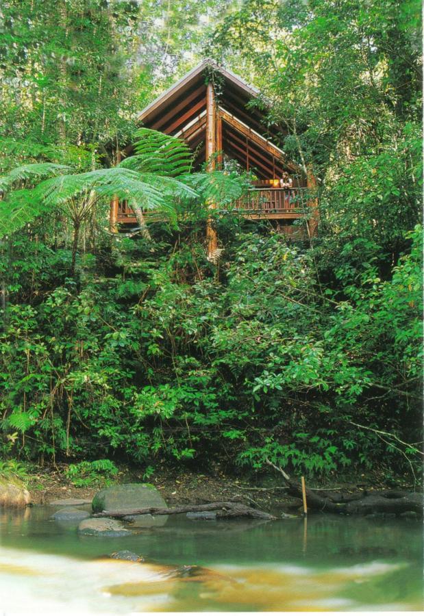 The Canopy Rainforest Treehouses & Wildlife Sanctuary Tarzali Eksteriør bilde
